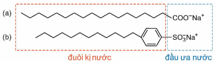 Ảnh có chứa văn bản, hàng, Phông chữ, Sơ đồ

Nội dung do AI tạo ra có thể không chính xác.