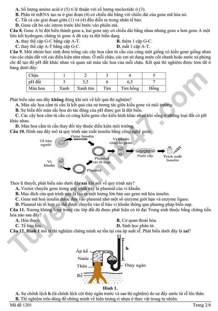 De thi thu tot nghiep THPT 2026 lan 2 mon Sinh - Cum 13 truong THPT Hai Phong