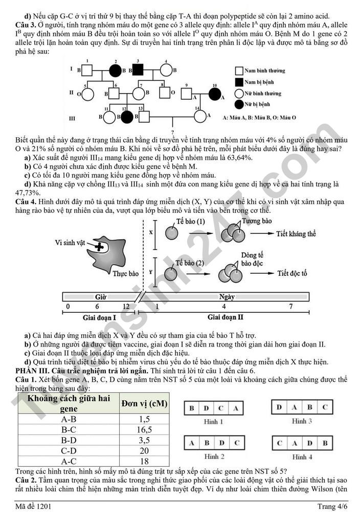 De thi thu tot nghiep THPT 2026 lan 2 mon Sinh - Cum 13 truong THPT Hai Phong