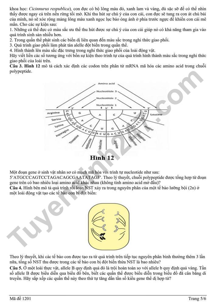 De thi thu tot nghiep THPT 2026 lan 2 mon Sinh - Cum 13 truong THPT Hai Phong