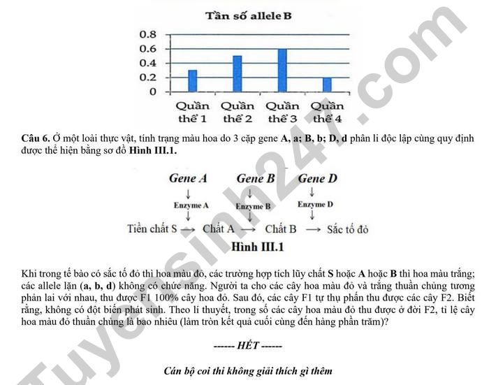 De thi thu tot nghiep THPT 2026 lan 2 mon Sinh - Cum 13 truong THPT Hai Phong