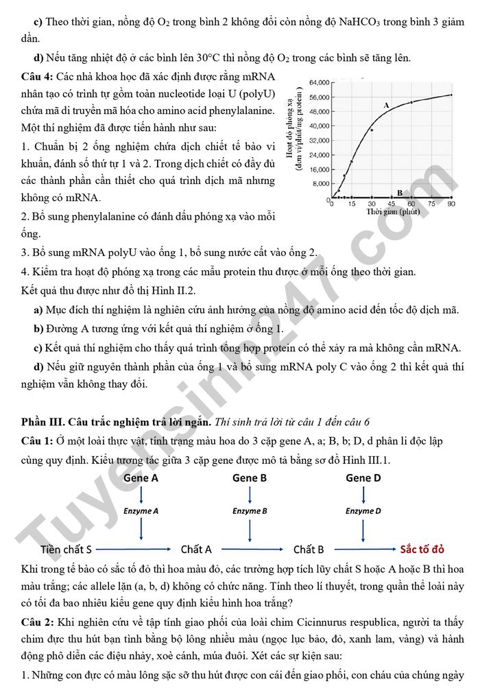De thi thu tot nghiep THPT mon Sinh 2026 - THPT Chuyen Phan Boi Chau - Chuyen Ha Tinh