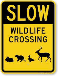 Protect wildlife and prevent vehicle drivers from speeding in the area. Use this bright sign with explicit graphics asking drivers to slow down in the ...