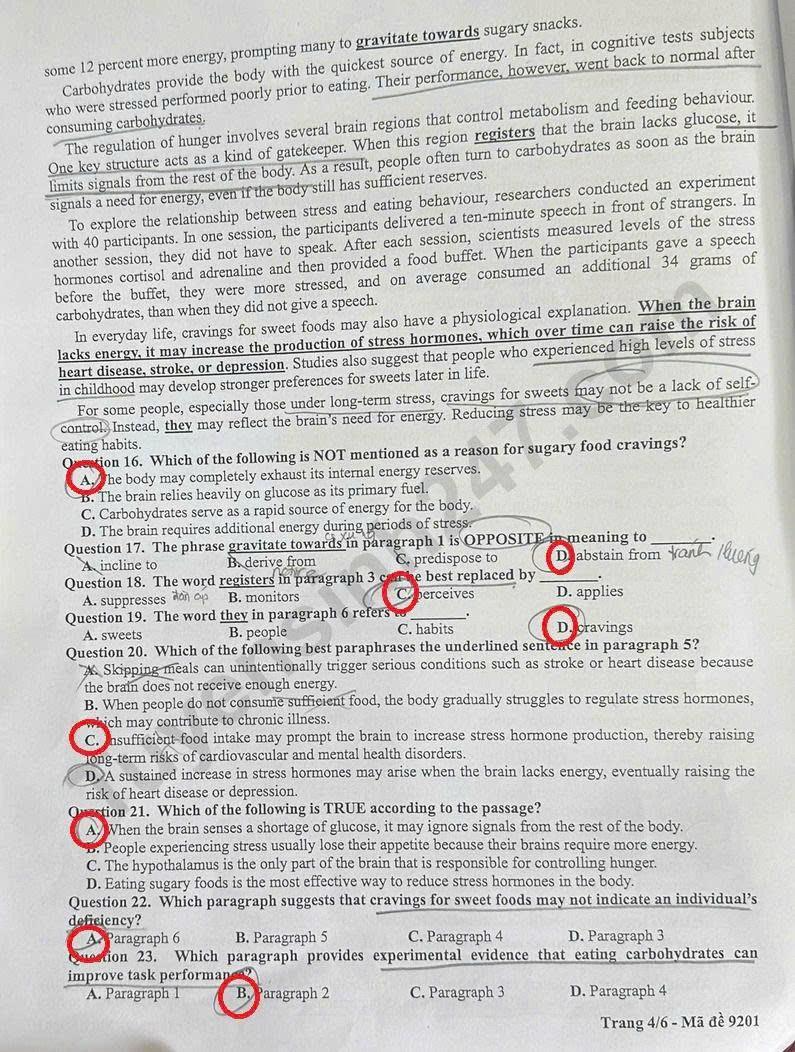 Huong dan giai mon Anh De thi khao sat lop 12 - Ha Noi 2026