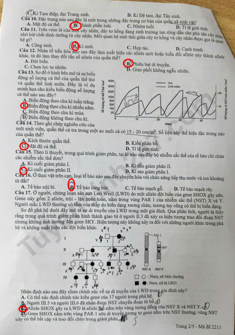 Huong dan giai De thi khao sat lop 12 mon Sinh 2026 - So GD Ha Noi