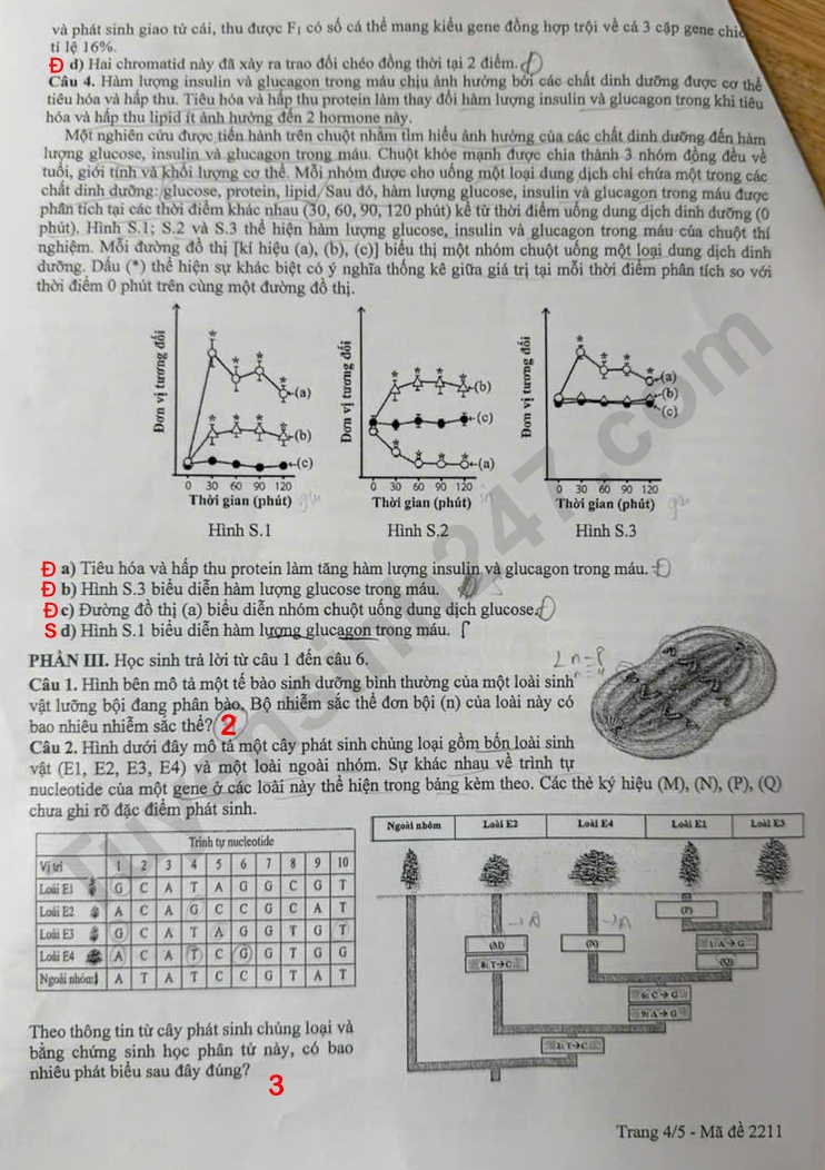 Huong dan giai De thi khao sat lop 12 mon Sinh 2026 - So GD Ha Noi