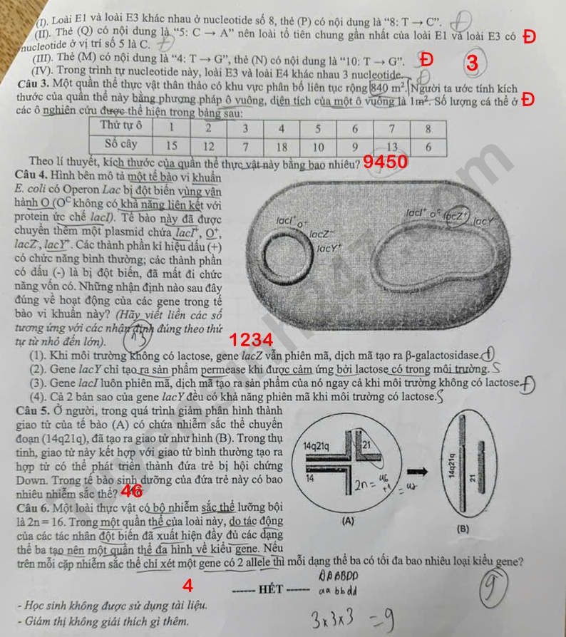 Huong dan giai De thi khao sat lop 12 mon Sinh 2026 - So GD Ha Noi