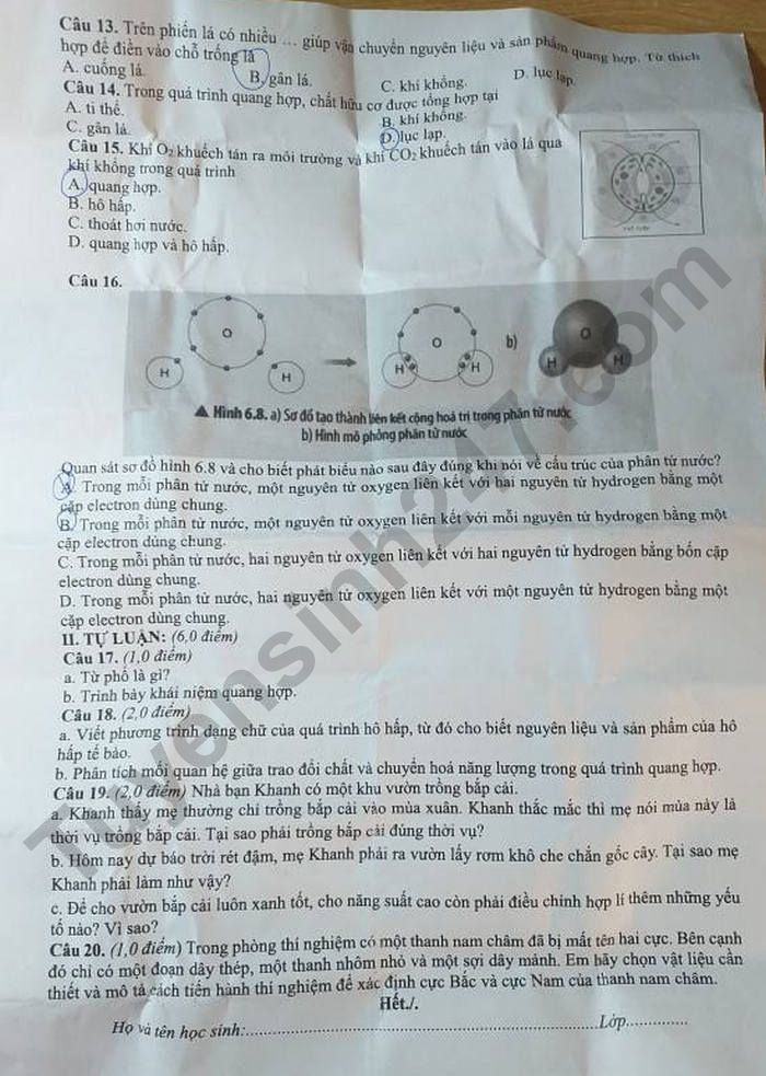 De thi giua ki 2 lop 7 mon KHTN 2026 - THCS Tay Son