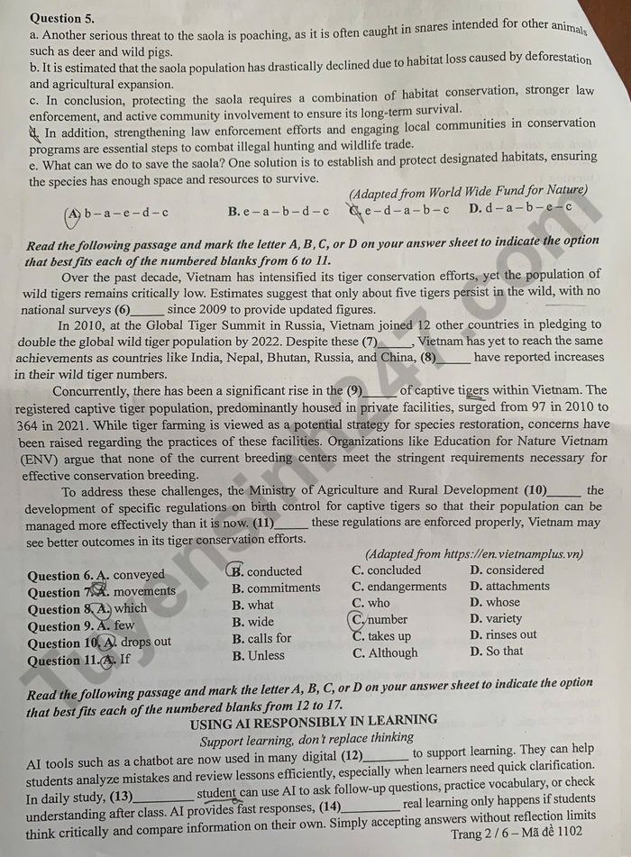 De thi giua ki 2 lop 12 mon Anh 2026 - THPT Phan Boi Chau-Cam Ranh