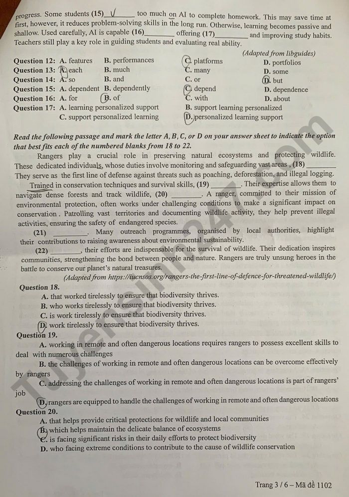 De thi giua ki 2 lop 12 mon Anh 2026 - THPT Phan Boi Chau-Cam Ranh