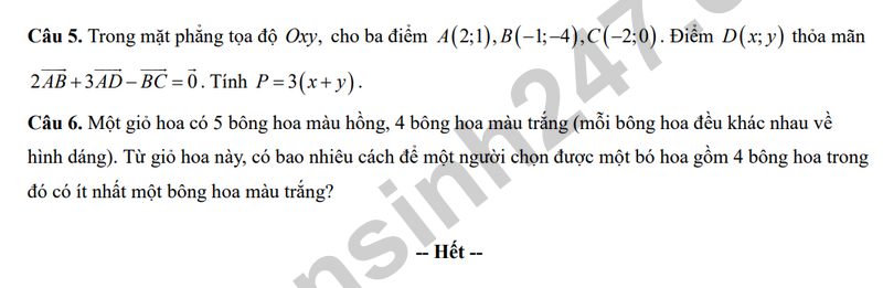 De giua hoc ki 2 Toan 10 truong THPT Mac Dinh Chi – Hai Phong 2026 - Ma de 101 (Co dap an)