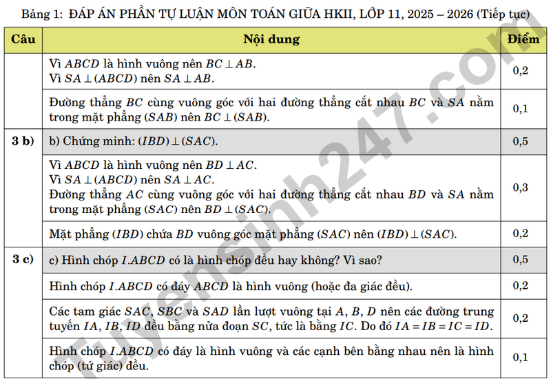 De giua ky 2 Toan 11 truong chuyen Luong The Vinh nam 2026 (Co dap an)
