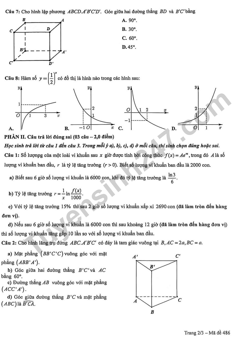 De giua ki 2 Toan 11 truong THPT Phan Chau Trinh nam 2026