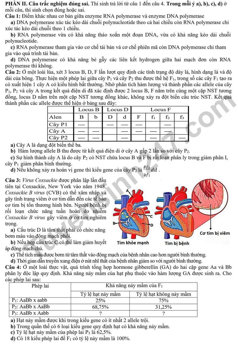 De thi thu tot nghiep THPT 2026 lan 1 mon Sinh hoc So GDDT Hung Yen