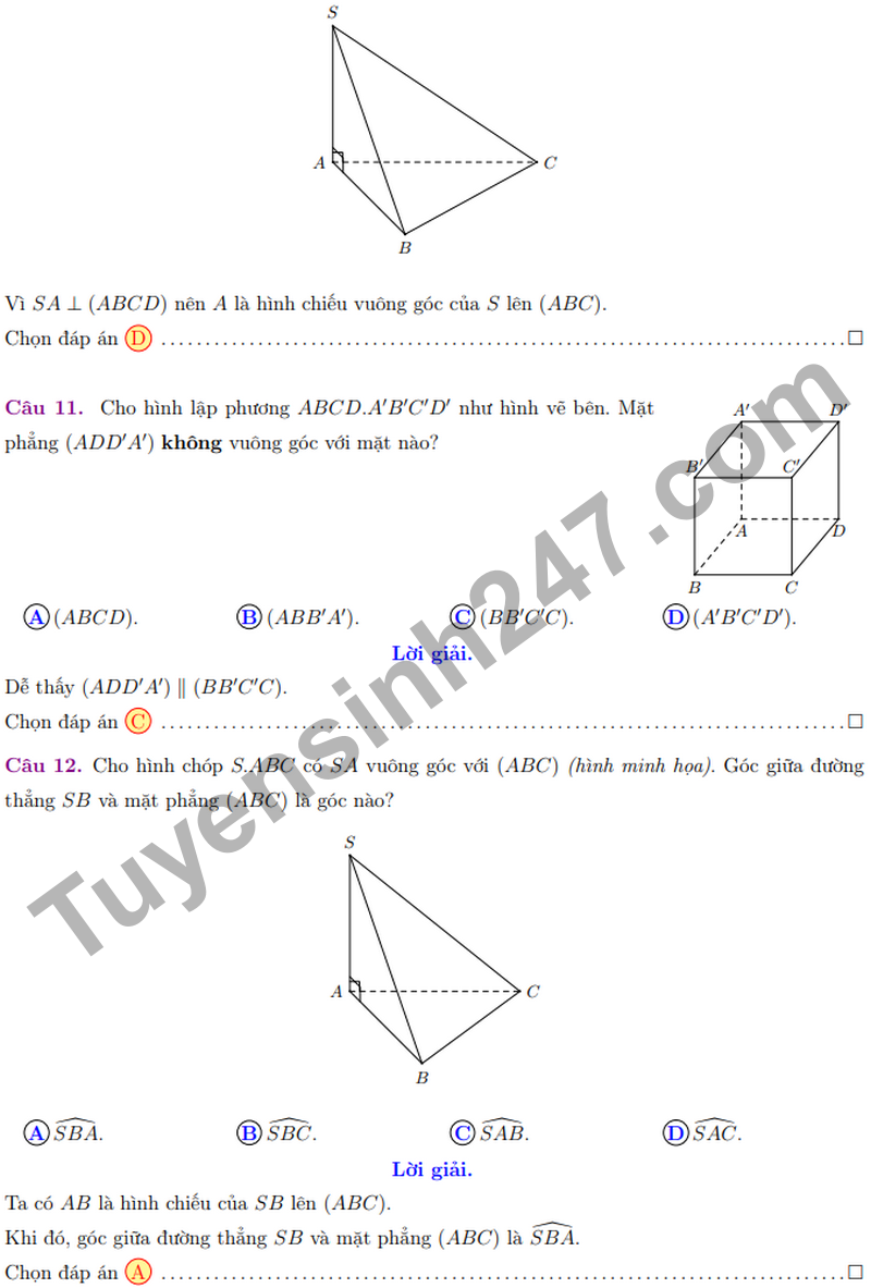 De giua ki 2 Toan 11 truong THPT Le Quy Don nam 2026
