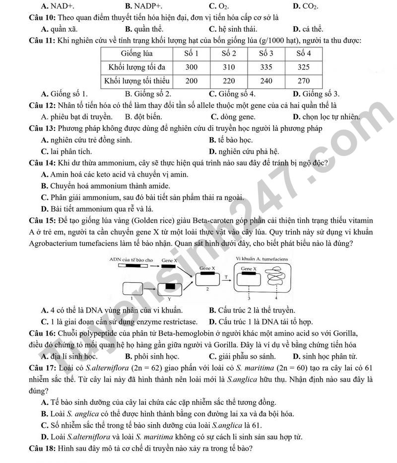 De thi thu tot nghiep THPT 2026 So GDDT Lao Cai - mon Sinh
