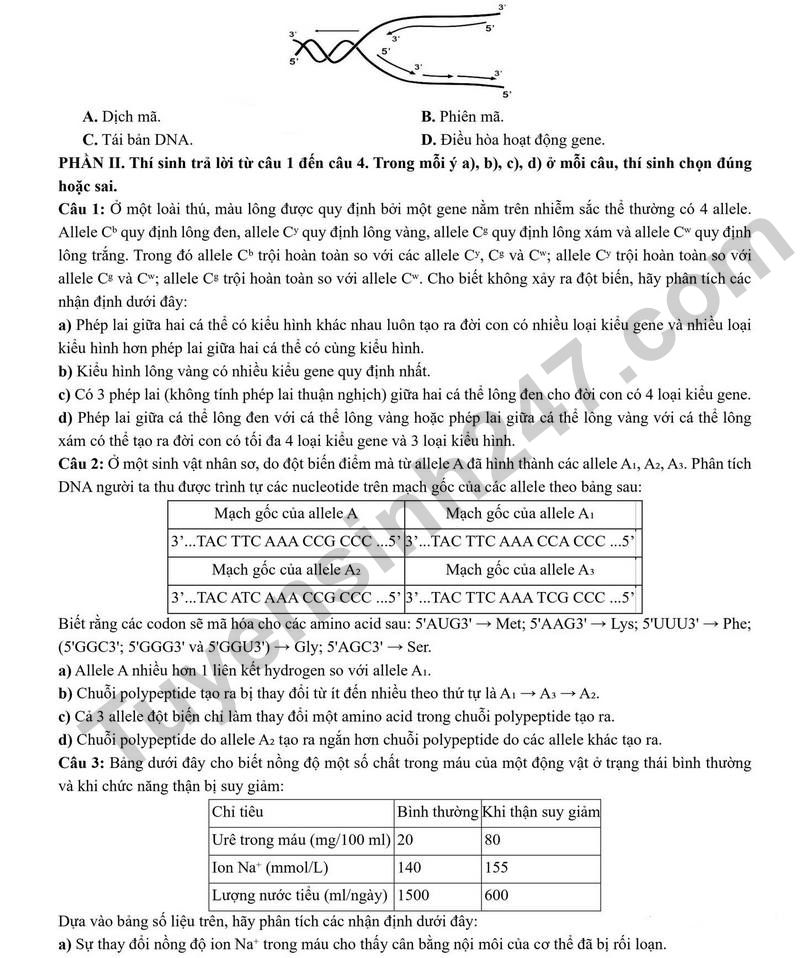 De thi thu tot nghiep THPT 2026 So GDDT Lao Cai - mon Sinh