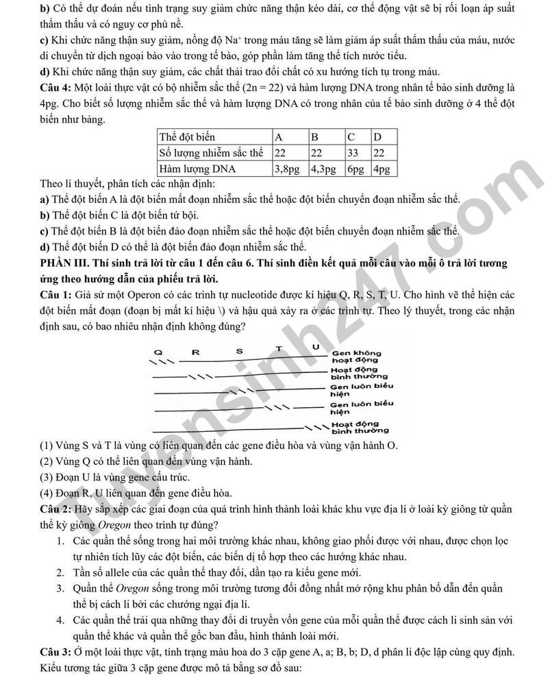 De thi thu tot nghiep THPT 2026 So GDDT Lao Cai - mon Sinh