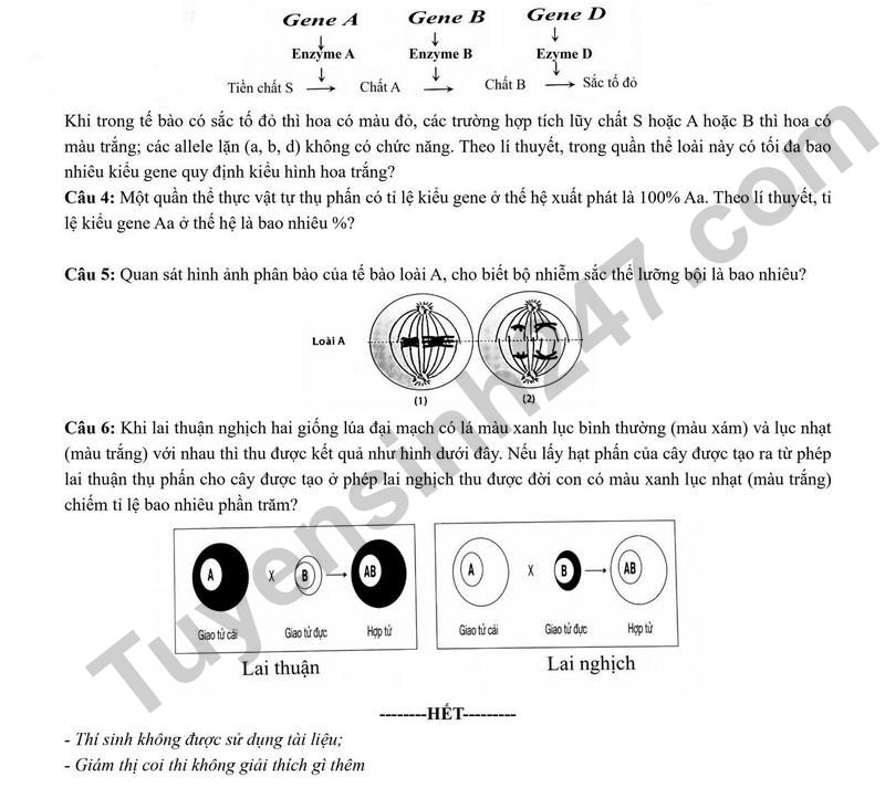 De thi thu tot nghiep THPT 2026 So GDDT Lao Cai - mon Sinh