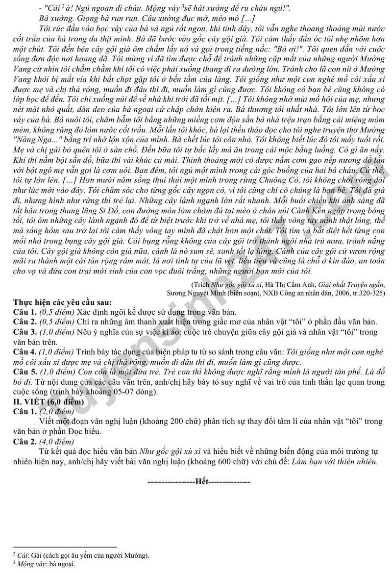 De thi thu tot nghiep THPT 2026 mon Van lan 1 So GDDT Lang Son (Co dap an)