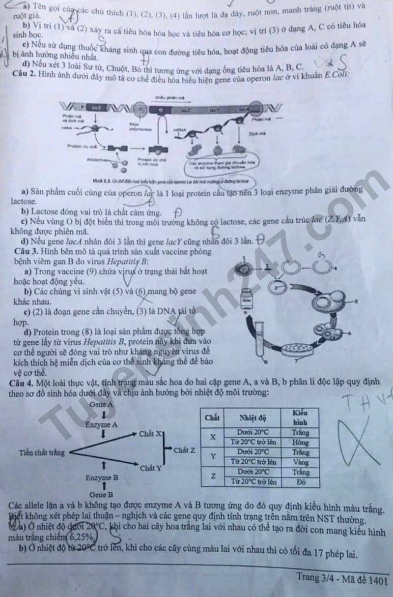 De thi thu tot nghiep THPT 2026 mon Sinh lan 1 - So GD Thanh Hoa (Co dap an)