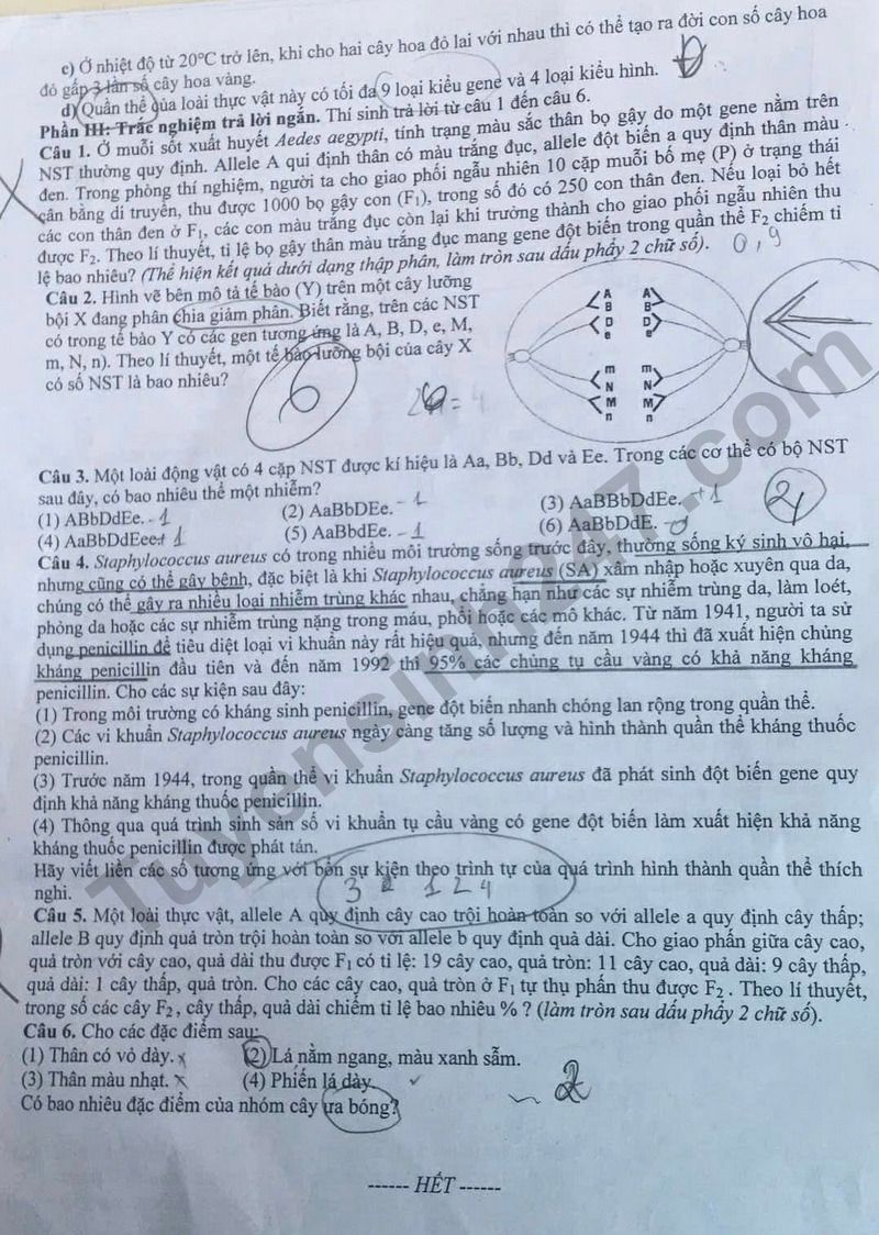 De thi thu tot nghiep THPT 2026 mon Sinh lan 1 - So GD Thanh Hoa (Co dap an)