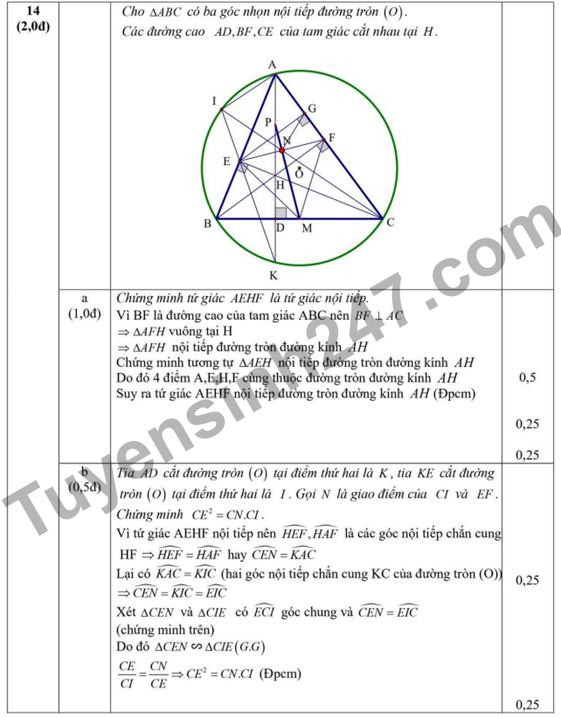 De khao sat chat luong vao 10 lan 2 Truong TH&THCS Luong Chi nam 2026 (Co dap an)
