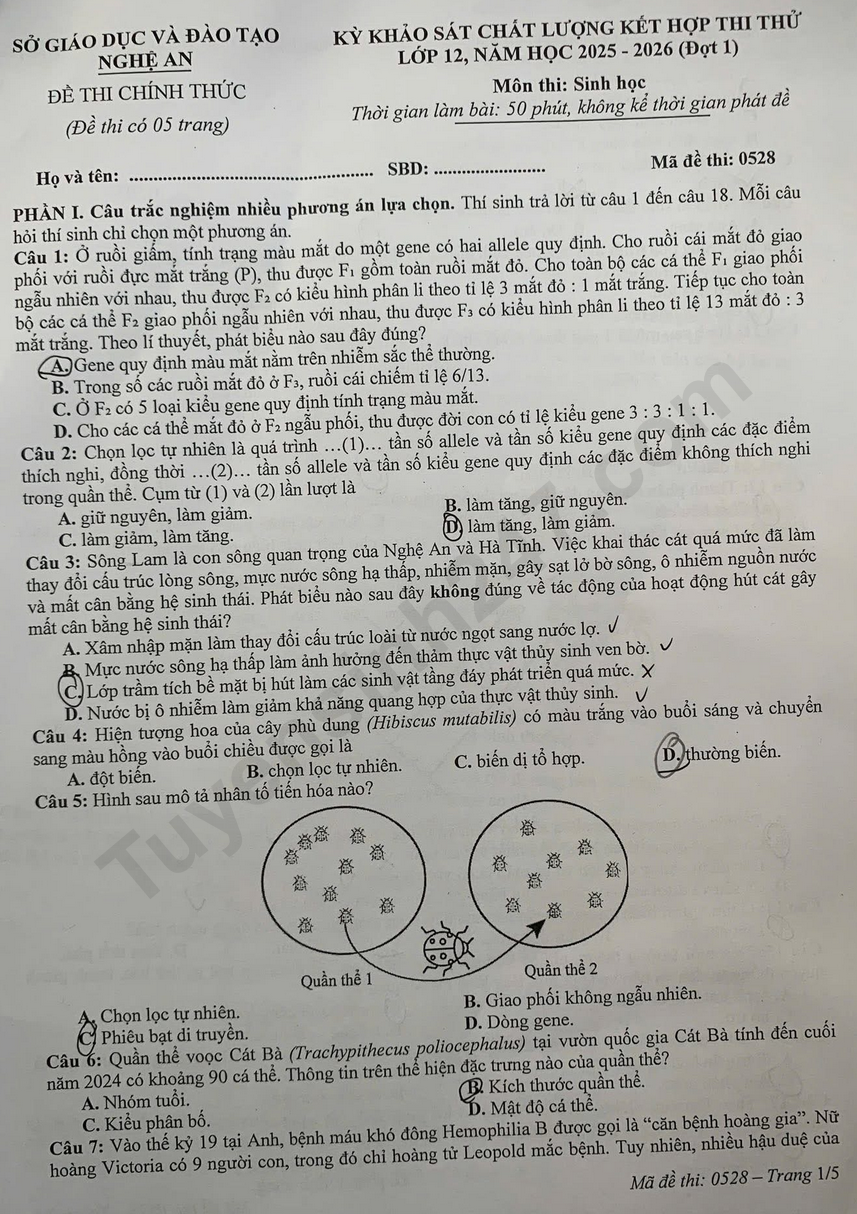 De thi thu tot nghiep THPT 2026 mon Sinh - So GD Nghe An (Dot 1)