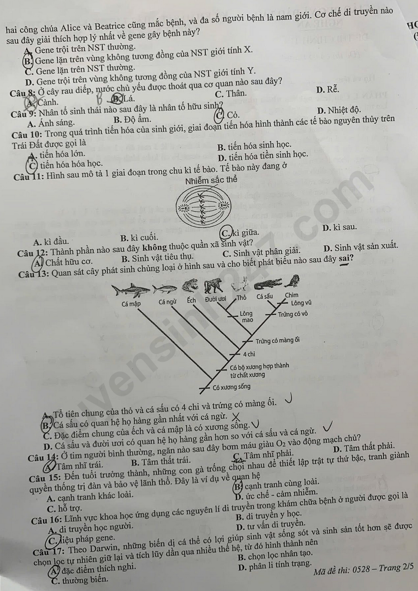 De thi thu tot nghiep THPT 2026 mon Sinh - So GD Nghe An (Dot 1)