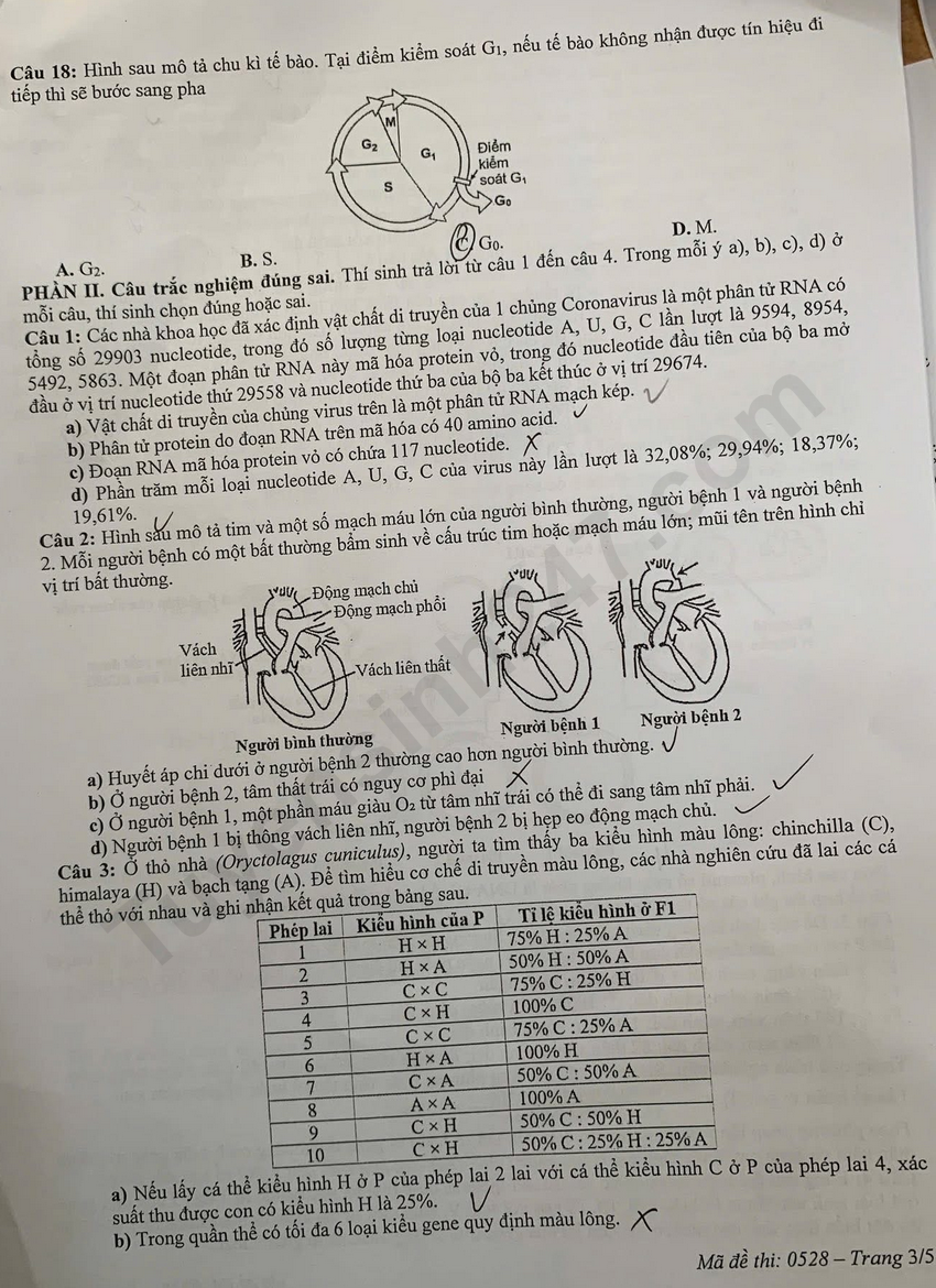 De thi thu tot nghiep THPT 2026 mon Sinh - So GD Nghe An (Dot 1)