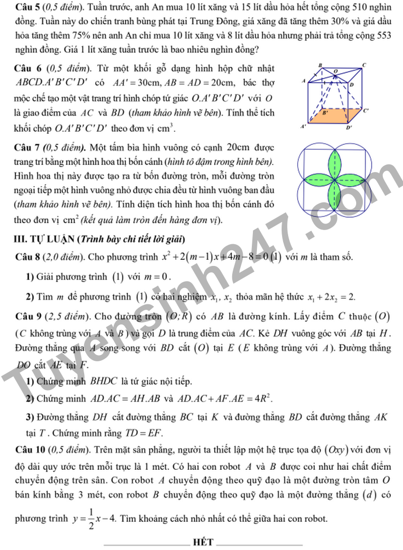 De khao sat Toan vao 10 nam 2026 truong Nguyen Tat Thanh (Co dap an)