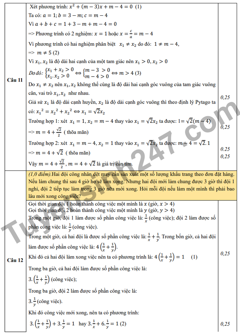 De khao sat vao 10 nam 2026 truong THCS Dong Tho (Co dap an)