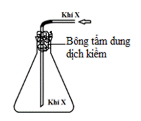 BÀI 21. NHÓM HALOGEN