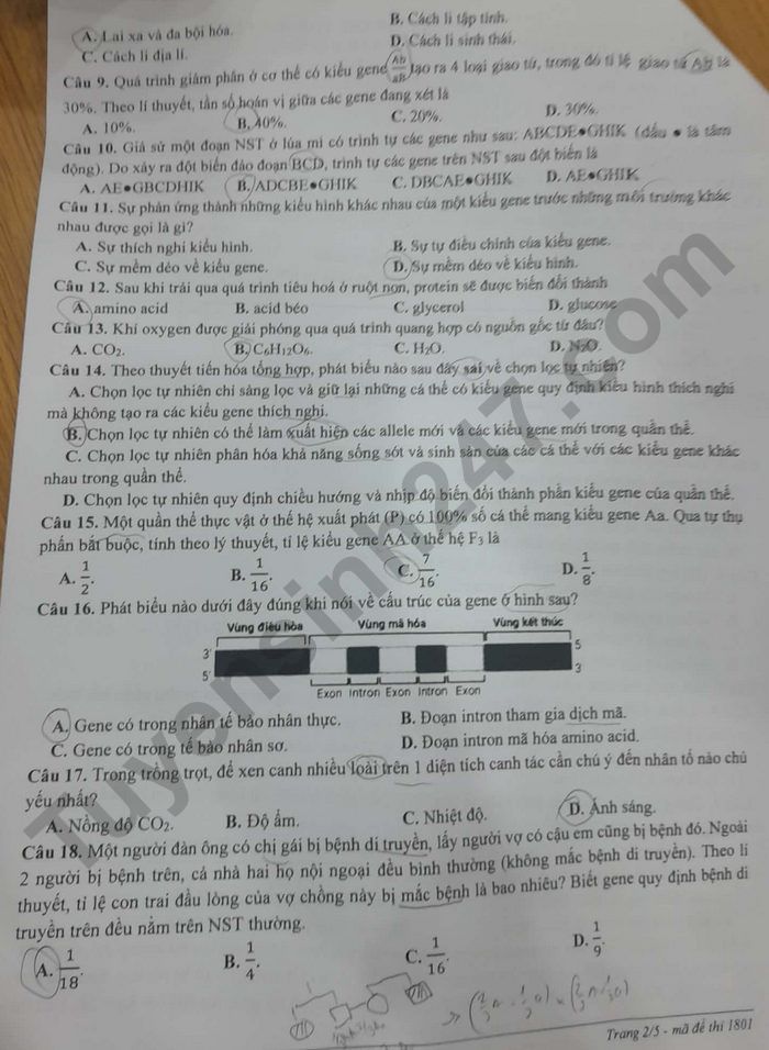 De thi thu tot nghiep THPT mon Sinh 2026 - TP Hue