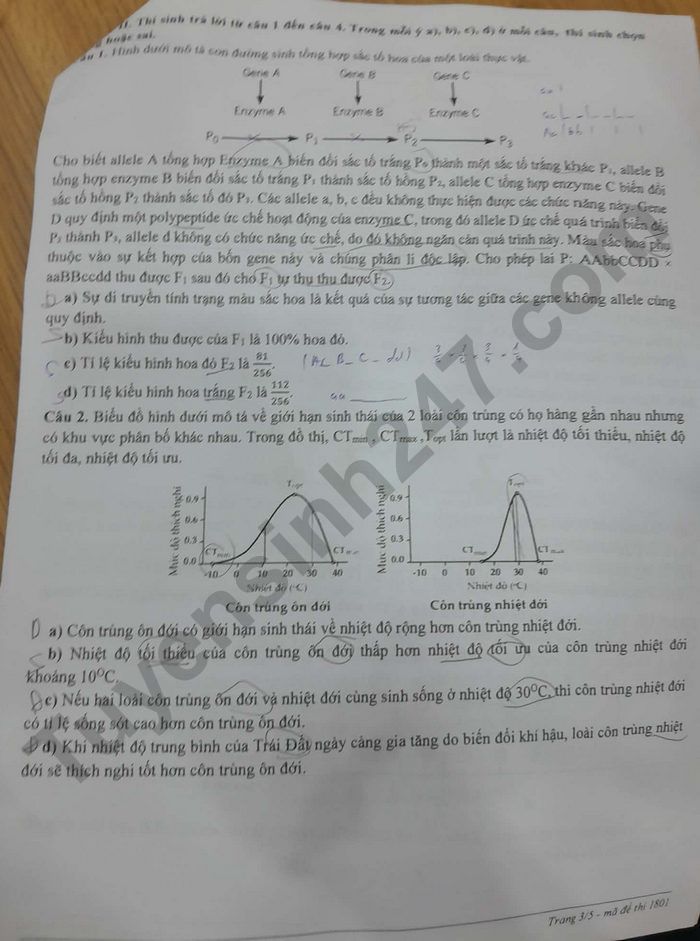 De thi thu tot nghiep THPT mon Sinh 2026 - TP Hue