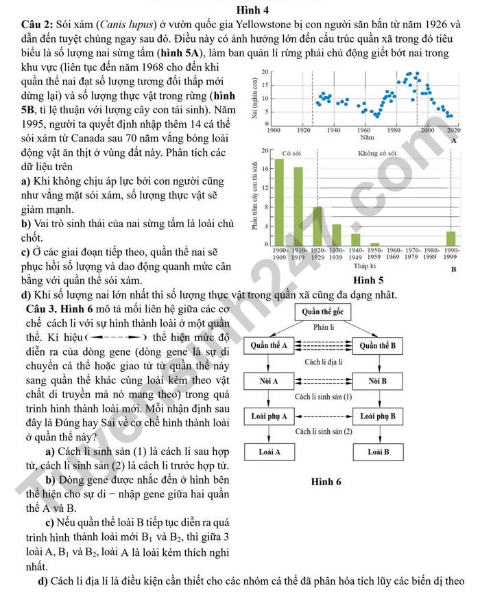De on thi tot nghiep THPT 2026 mon Sinh - THPT Chuyen Nguyen Tat Thanh