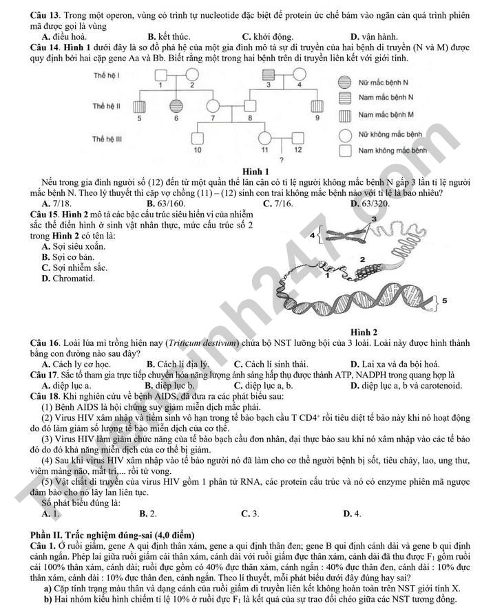 De thi thu TN THPT mon Sinh 2026 - Lien truong THPT Hoa Binh (lan 1)