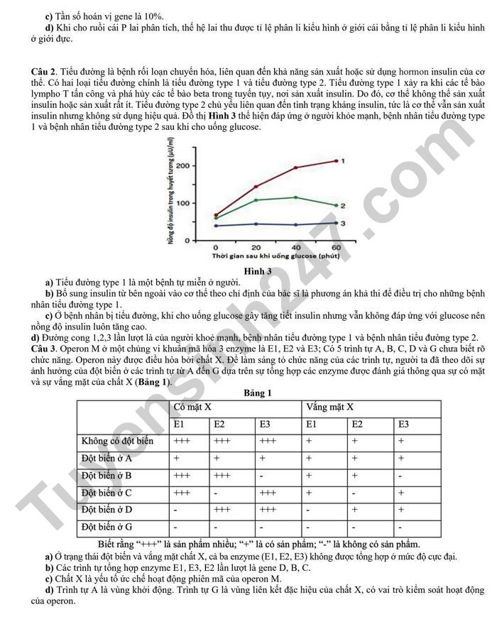 De thi thu TN THPT mon Sinh 2026 - Lien truong THPT Hoa Binh (lan 1)