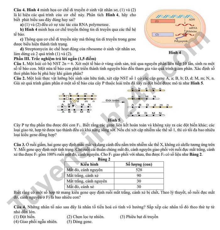 De thi thu TN THPT mon Sinh 2026 - Lien truong THPT Hoa Binh (lan 1)