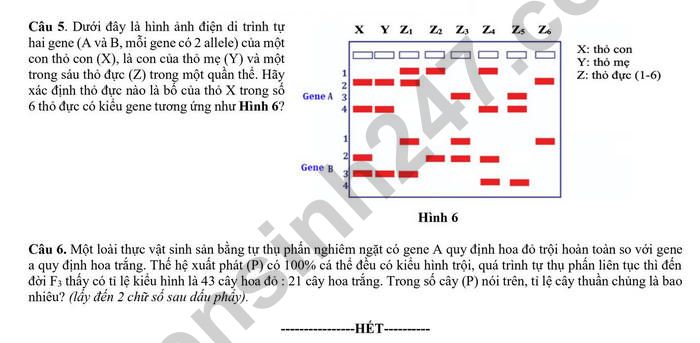 De thi thu TN THPT mon Sinh 2026 - Lien truong THPT Hoa Binh (lan 1)