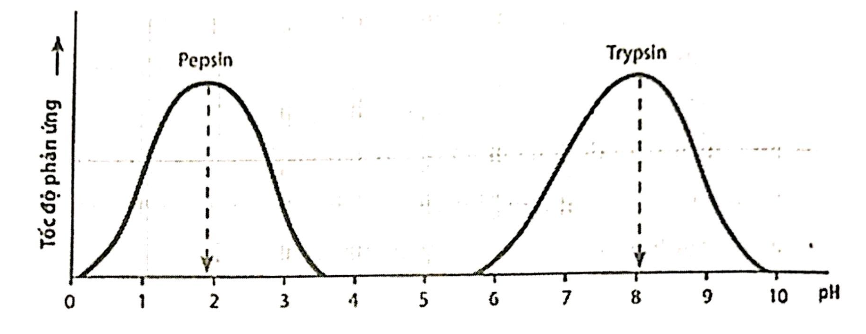 A graph of a function

AI-generated content may be incorrect.