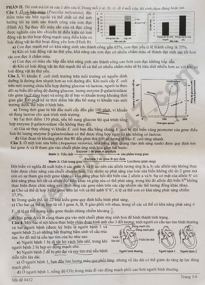 De thi thu tot nghiep THPT mon Sinh 2026 - So GD Dong Nai (lan 1)