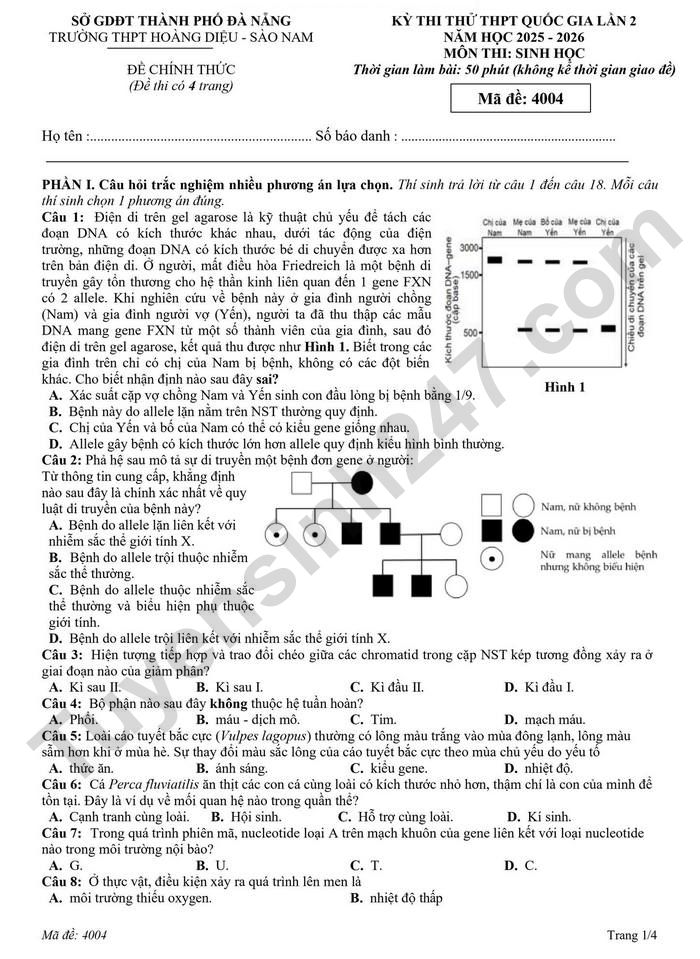 De thi thu TN THPT 2026 lan 2 mon Sinh - THPT Hoang Dieu - Sao Nam