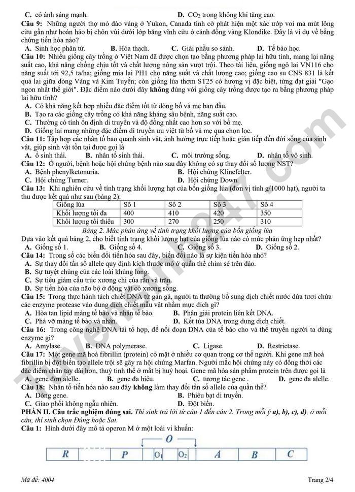 De thi thu TN THPT 2026 lan 2 mon Sinh - THPT Hoang Dieu - Sao Nam