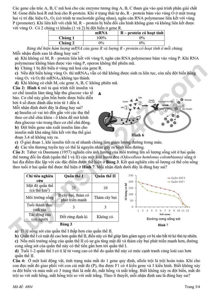 De thi thu TN THPT 2026 lan 2 mon Sinh - THPT Hoang Dieu - Sao Nam