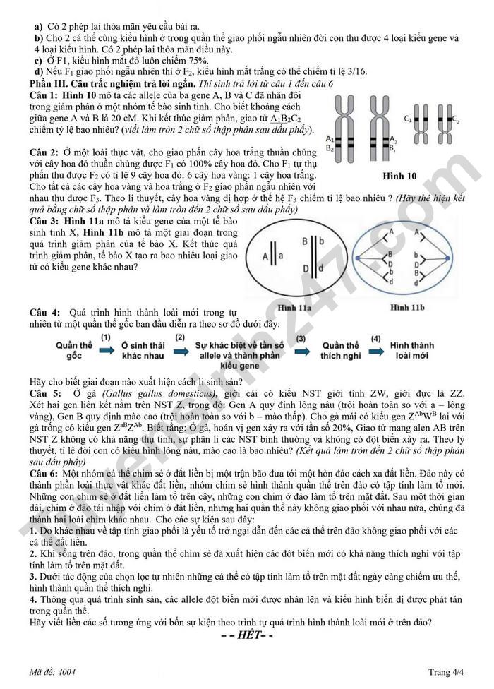 De thi thu TN THPT 2026 lan 2 mon Sinh - THPT Hoang Dieu - Sao Nam
