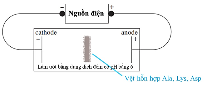 Ảnh có chứa văn bản, biểu đồ, ảnh chụp màn hình, Phông chữ

Nội dung do AI tạo ra có thể không chính xác.
