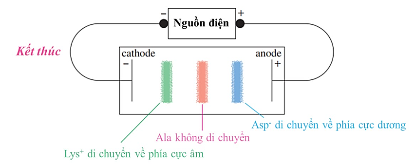 Ảnh có chứa văn bản, biểu đồ, ảnh chụp màn hình, Phông chữ

Nội dung do AI tạo ra có thể không chính xác.