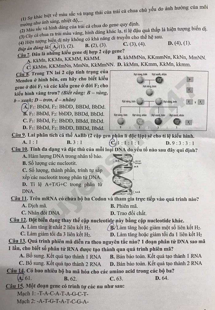 De thi hoc ki 2 mon KHTN lop 9 THCS Nguyen Trai 2026