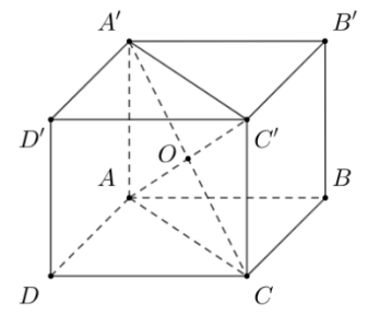 Cho hình hộp \(ABCD.A'B'C'D'\) có tâm \(O\). Khi đó, \(\overrightarrow {AB}  + \overrightarrow {AD} + \overrightarrow {AA'} + \overrightarrow {AC'}  \)bằng